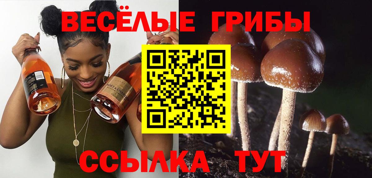 Волхов  МЕТ  Конопля  Меф   Вход с VPN  ГАШ 