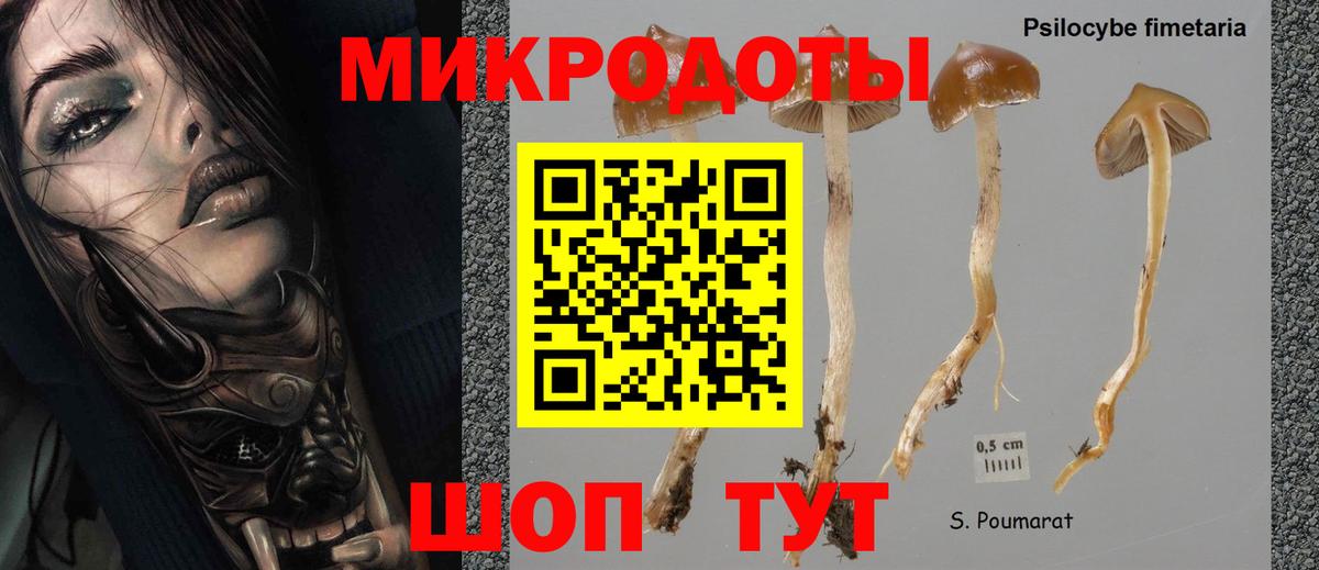 купить   Псилоцибиновые грибы Psilocybe  Вход с VPN  Волхов 